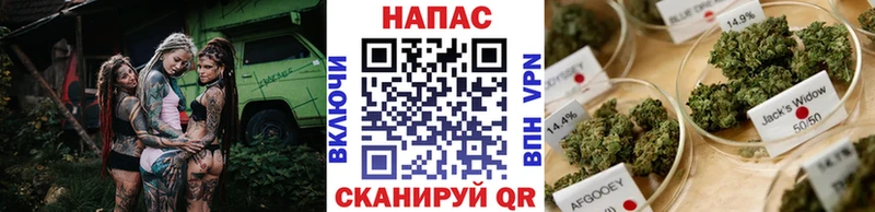 Купить наркотик аптеки Истра Конопля Cocaine ГАШИШ КЕТАМИН Меф мяу мяу A PVP