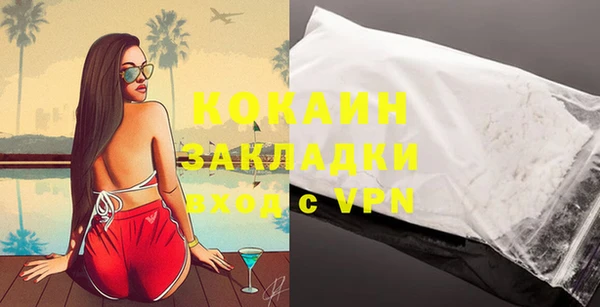 гашик Аркадак