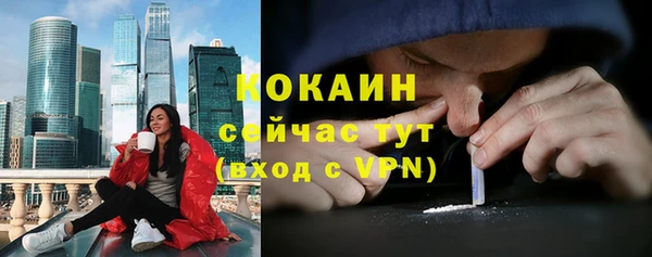 гашик Аркадак