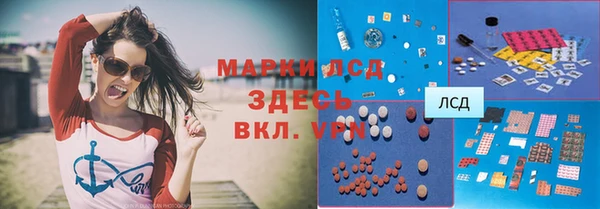 прущие грибы Арсеньев