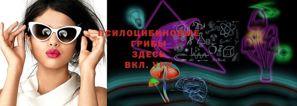 гашик Аркадак