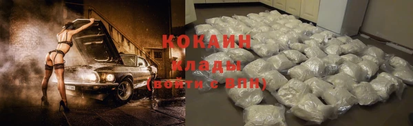 гашик Аркадак