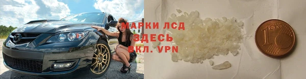 гашик Аркадак