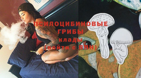 прущие грибы Арсеньев